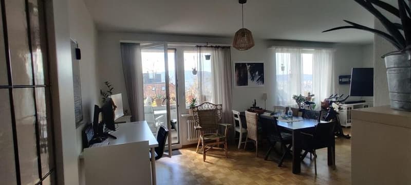 Möbliertes 3.5 Apartment zu vermieten nähe Rigiplatz/Uni Spital/ETH | Furnished 3.5 apartment for rent near Rigiplatz/Uni Spital/ETH (7)