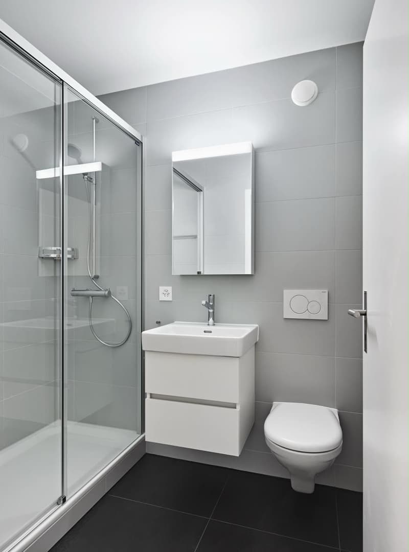 Grosses WG-Zimmer inkl. eigenem WC (2)