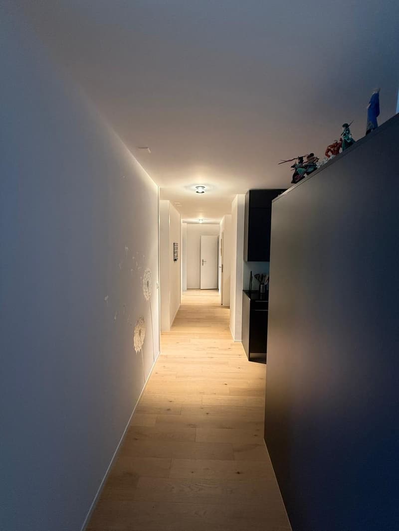 Grosses WG-Zimmer inkl. eigenem WC (6)