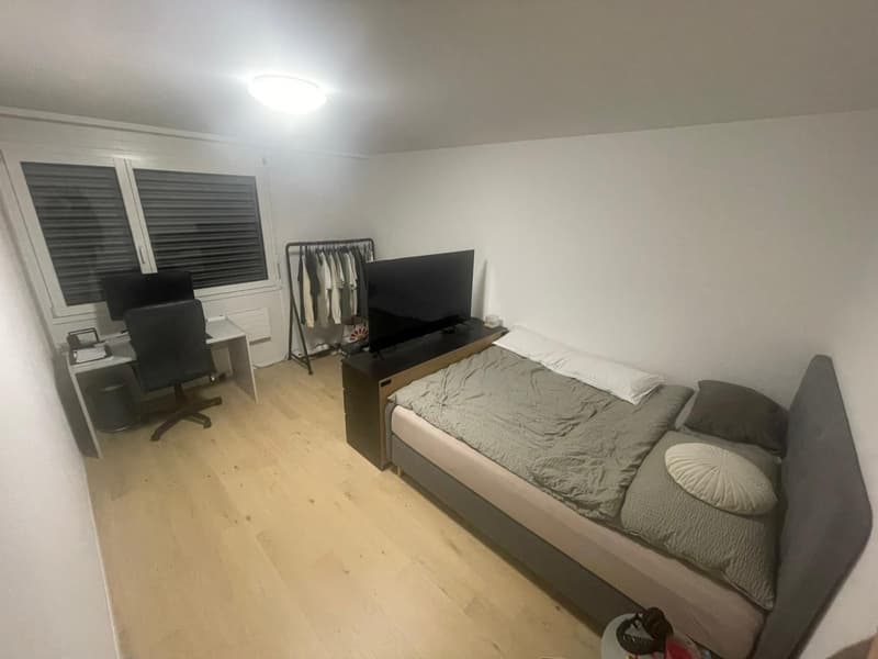 Grosses WG-Zimmer inkl. eigenem WC (1)
