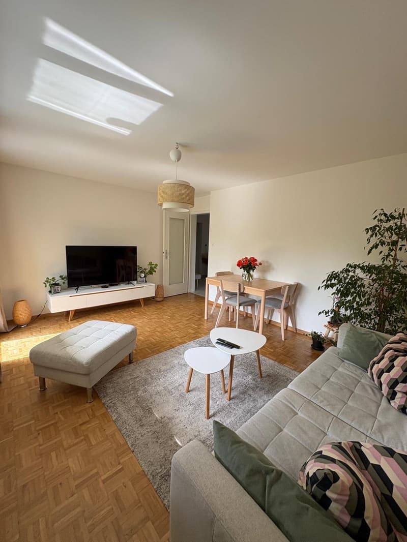 Appartement 3 ½ pièces, 2015 AREUSE (11)