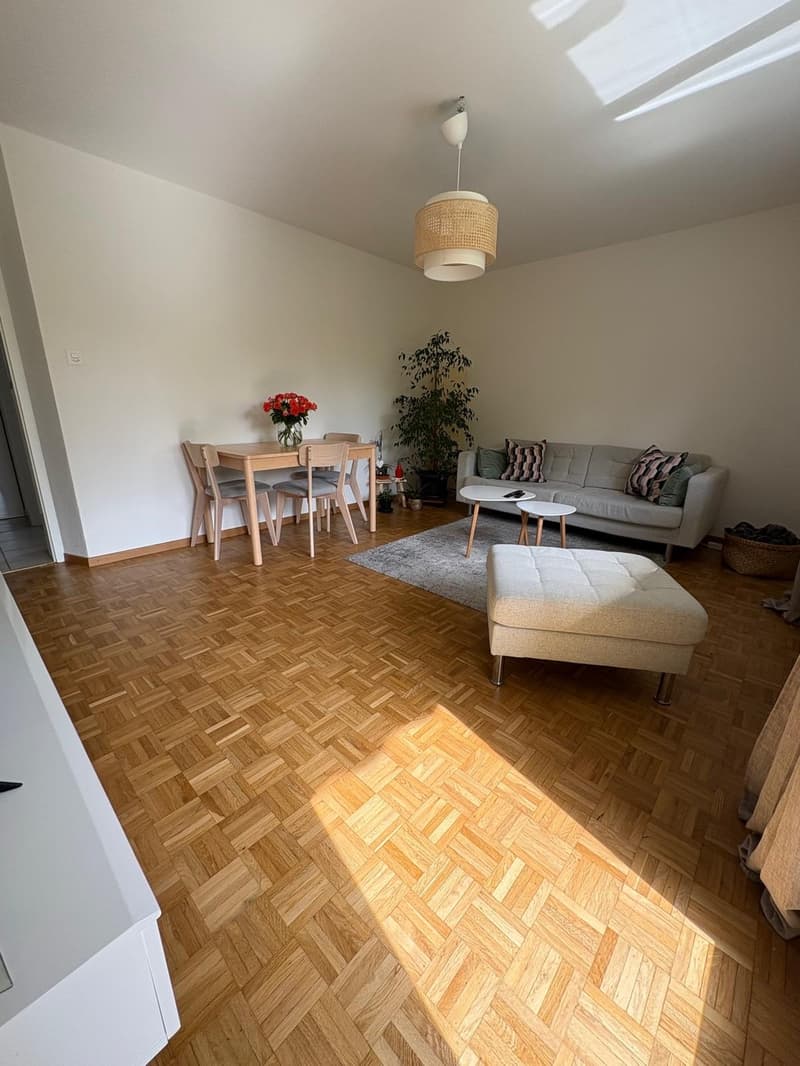 Appartement 3 ½ pièces, 2015 AREUSE (12)