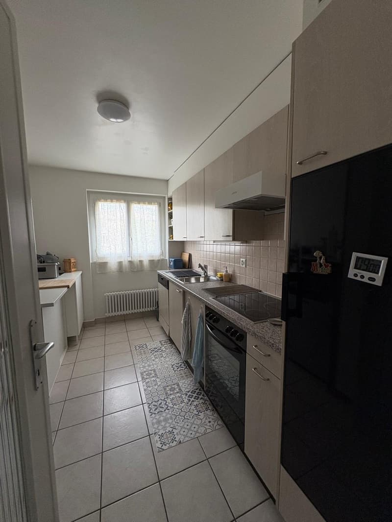 Appartement 3 ½ pièces, 2015 AREUSE (3)