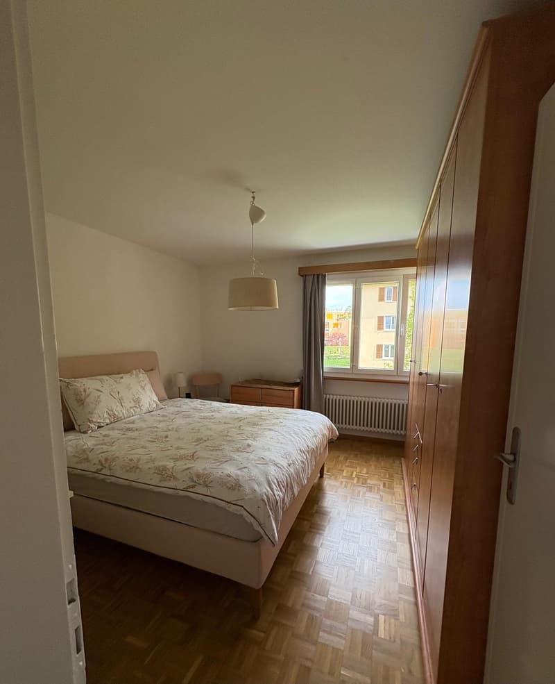 Appartement 3 ½ pièces, 2015 AREUSE (6)