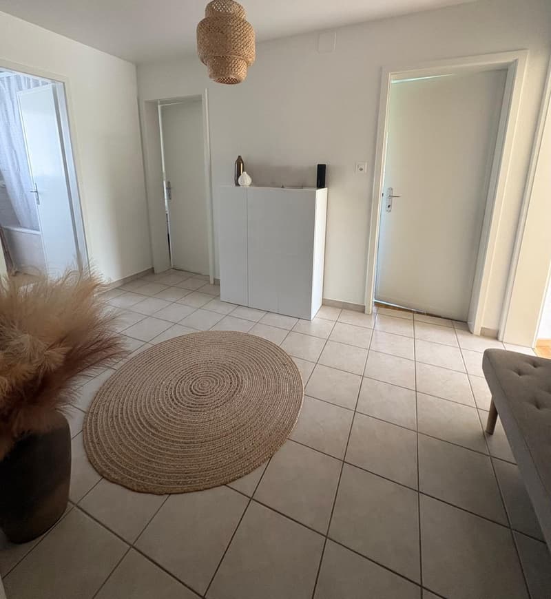 Appartement 3 ½ pièces, 2015 AREUSE (4)