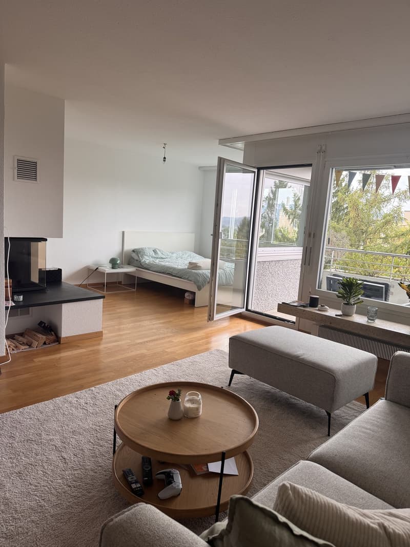 Nachmieter/in für tolle 3.5 Zimmerwohnung mit Cheminée und Aussicht gesucht (2)