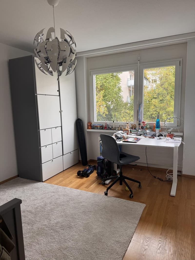 Nachmieter/in für tolle 3.5 Zimmerwohnung mit Cheminée und Aussicht gesucht (6)