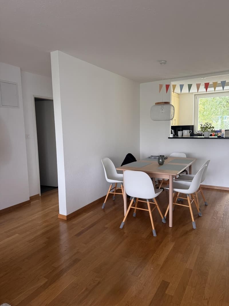 Nachmieter/in für tolle 3.5 Zimmerwohnung mit Cheminée und Aussicht gesucht (1)