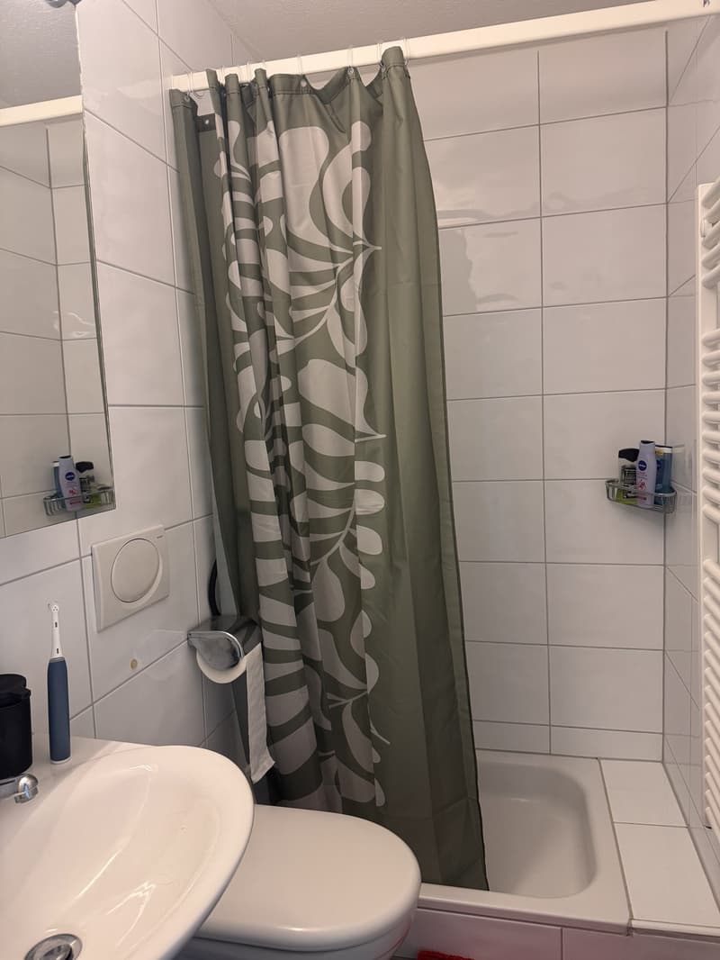 Nachmieter/in für tolle 3.5 Zimmerwohnung mit Cheminée und Aussicht gesucht (8)