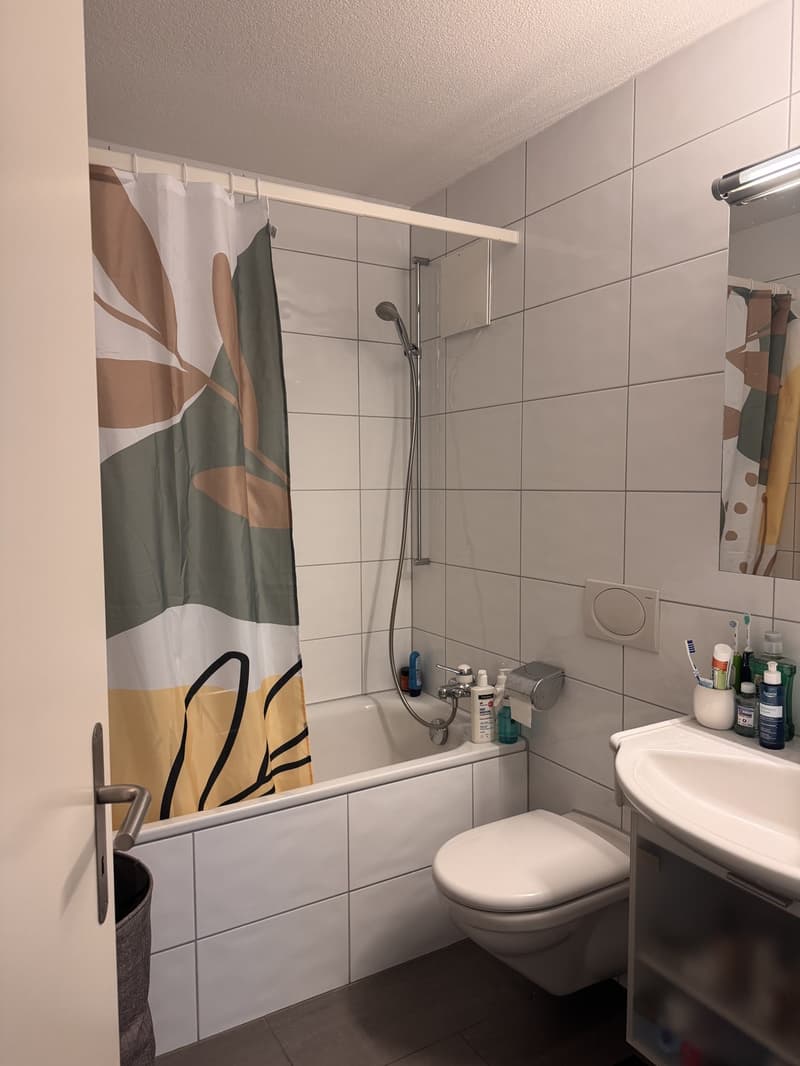 Nachmieter/in für tolle 3.5 Zimmerwohnung mit Cheminée und Aussicht gesucht (7)