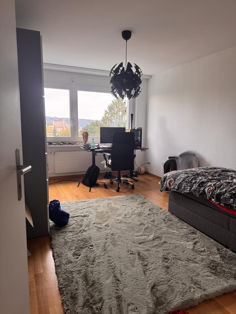 Nachmieter/in für tolle 3.5 Zimmerwohnung mit Cheminée und Aussicht gesucht (5)
