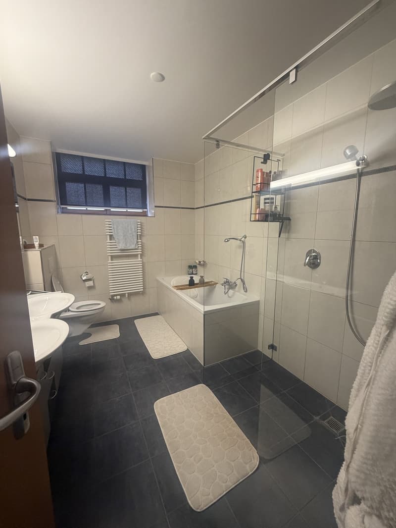 Magnifique duplex (3)