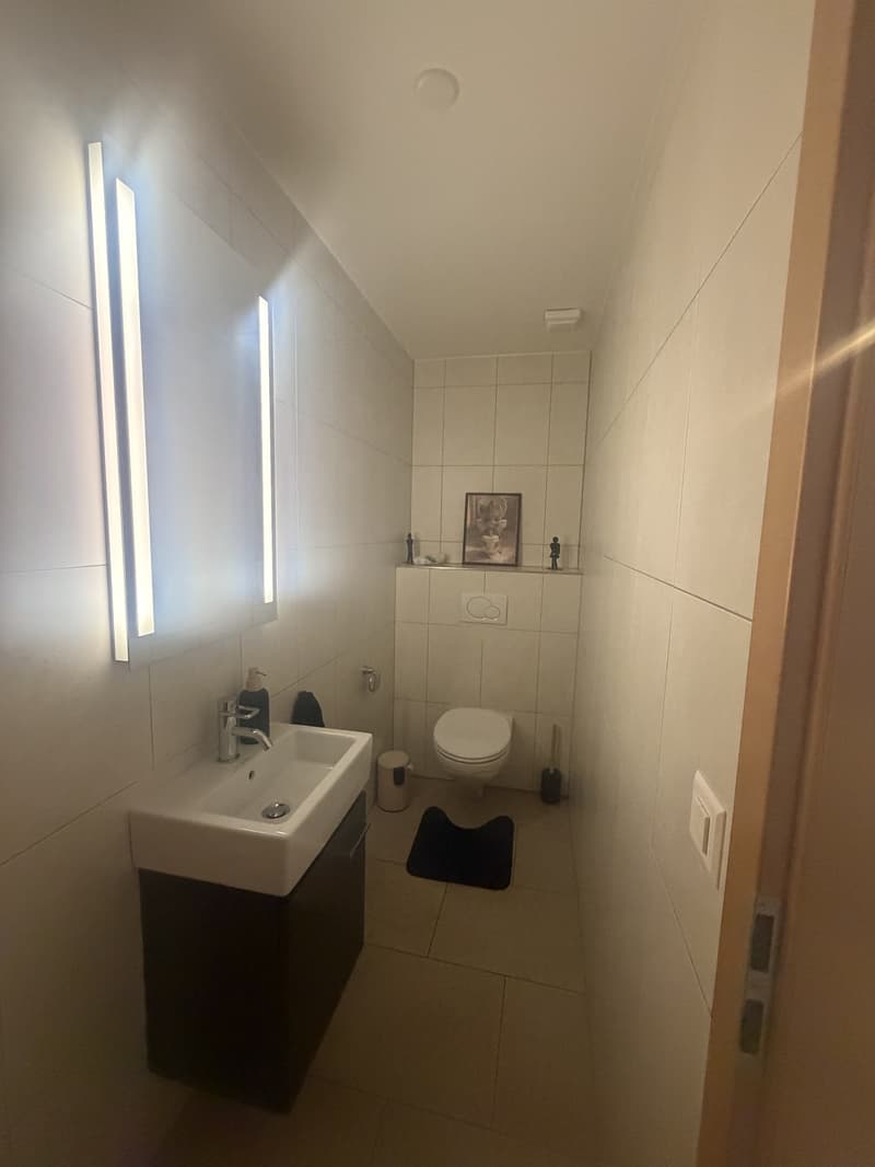 Magnifique duplex (4)