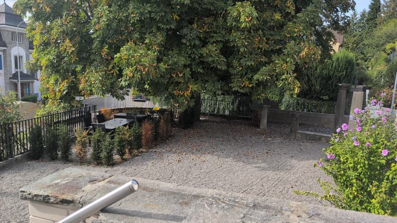 Traumhafte Altbauwohnung mit neu renovierten Nasszonen und Seeblick (10)