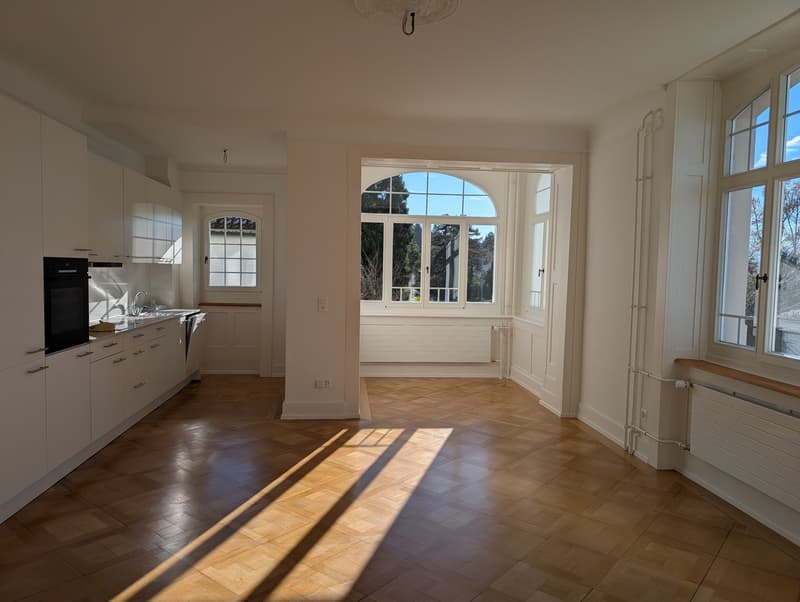 Traumhafte Altbauwohnung mit neu renovierten Nasszonen und Seeblick (6)