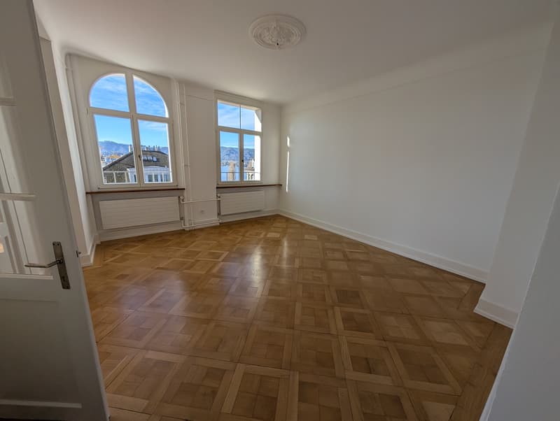 Traumhafte Altbauwohnung mit neu renovierten Nasszonen und Seeblick (3)