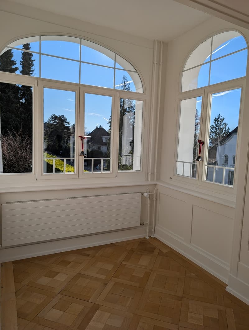 Traumhafte Altbauwohnung mit neu renovierten Nasszonen und Seeblick (5)