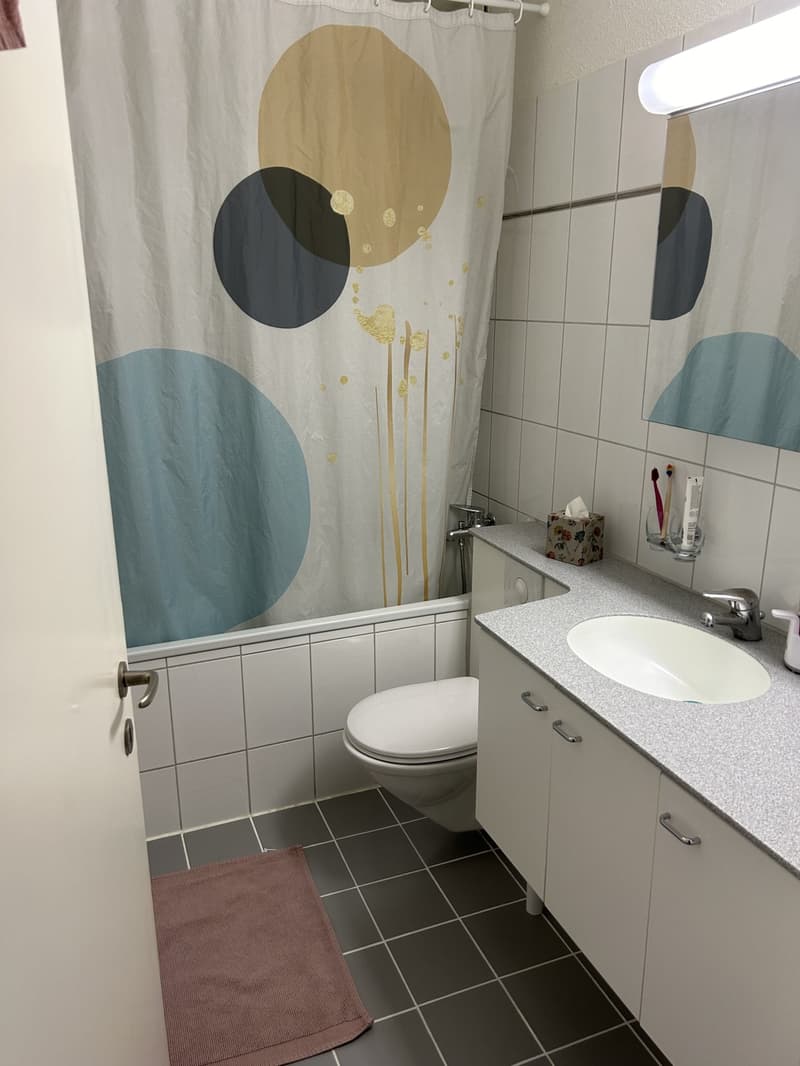 Schöne, zentrale Wohnung (4)