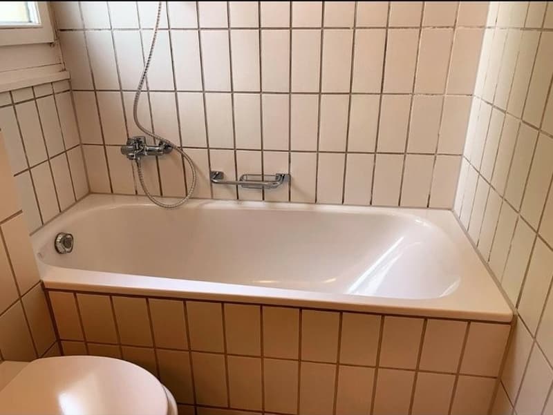 Schöne, ruhige Wohnung sucht Nachmieter (5)