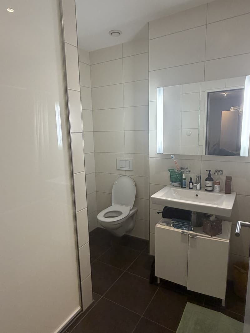 Apartment swap 1.5-2.5 room for Modern 3.5 room apartment central Zurich (2 bathrooms, minerge, balcony) (6)