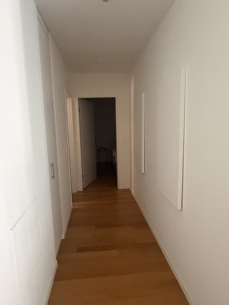 Apartment swap 1.5-2.5 room for Modern 3.5 room apartment central Zurich (2 bathrooms, minerge, balcony) (4)