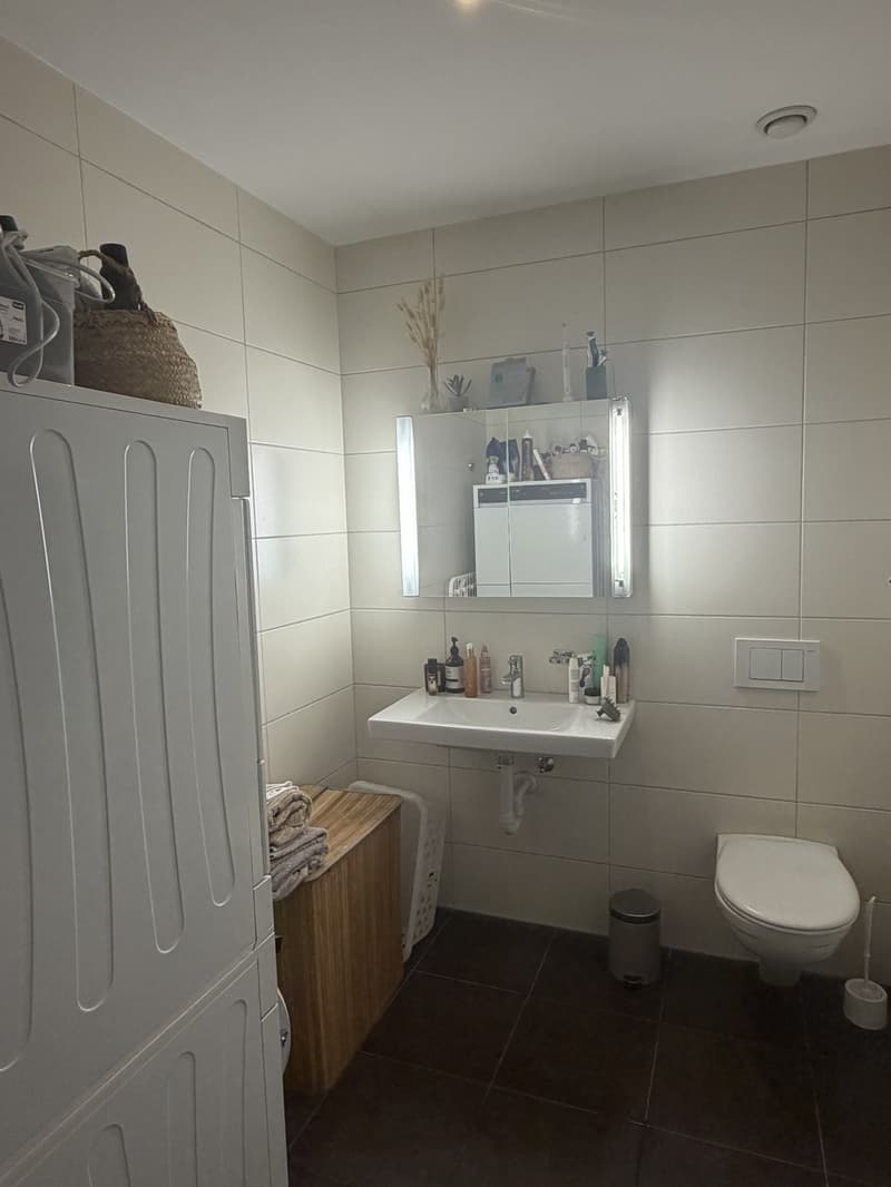 Apartment swap 1.5-2.5 room for Modern 3.5 room apartment central Zurich (2 bathrooms, minerge, balcony) (5)