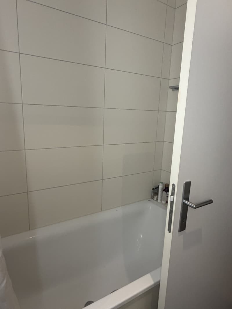 Apartment swap 1.5-2.5 room for Modern 3.5 room apartment central Zurich (2 bathrooms, minerge, balcony) (8)