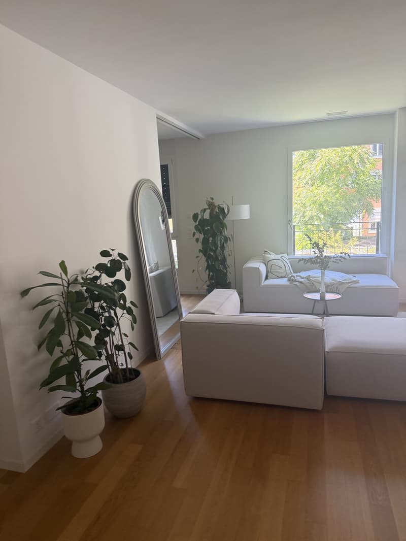 Apartment swap 1.5-2.5 room for Modern 3.5 room apartment central Zurich (2 bathrooms, minerge, balcony) (2)