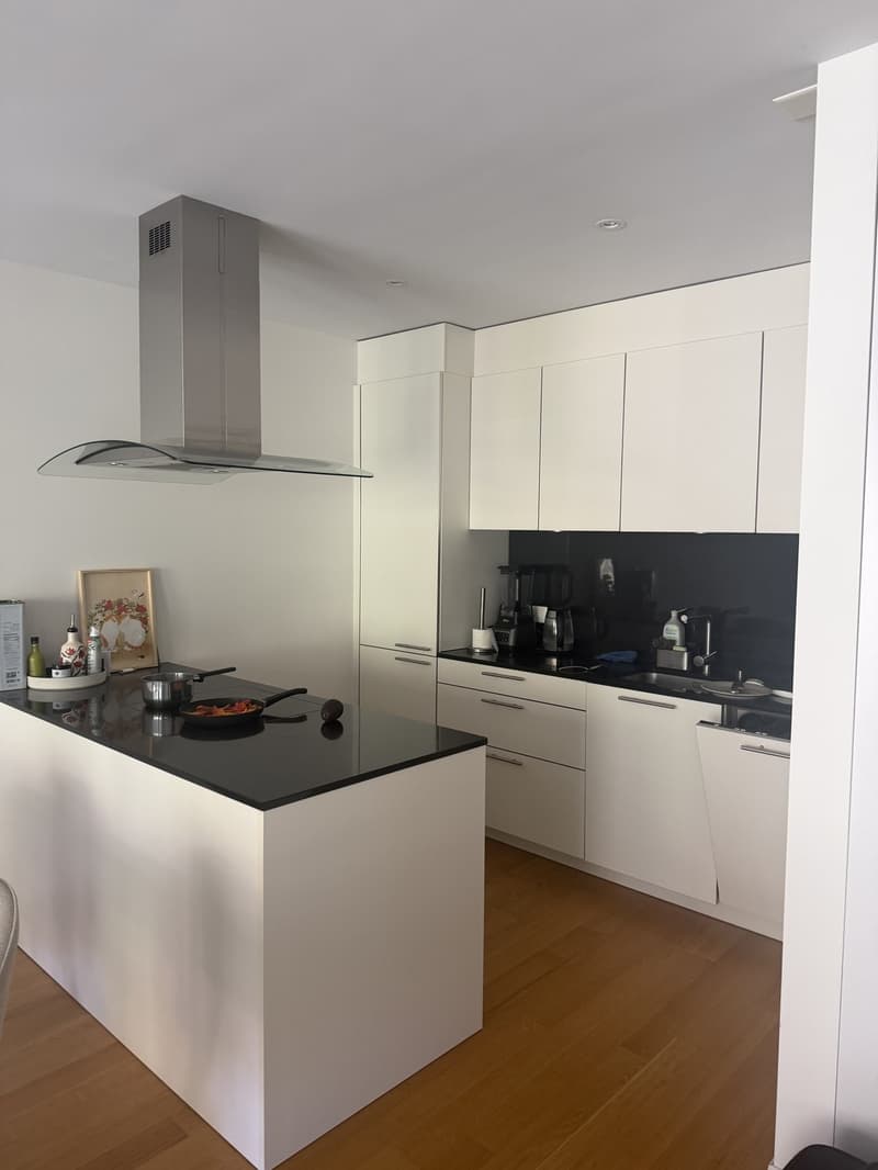 Apartment swap 1.5-2.5 room for Modern 3.5 room apartment central Zurich (2 bathrooms, minerge, balcony) (10)
