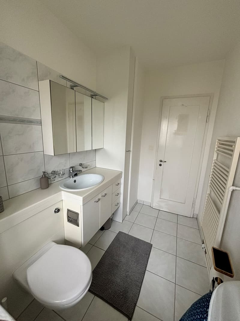 Helle 3.5-Zimmer-Wohnung in Wollishofen (11)