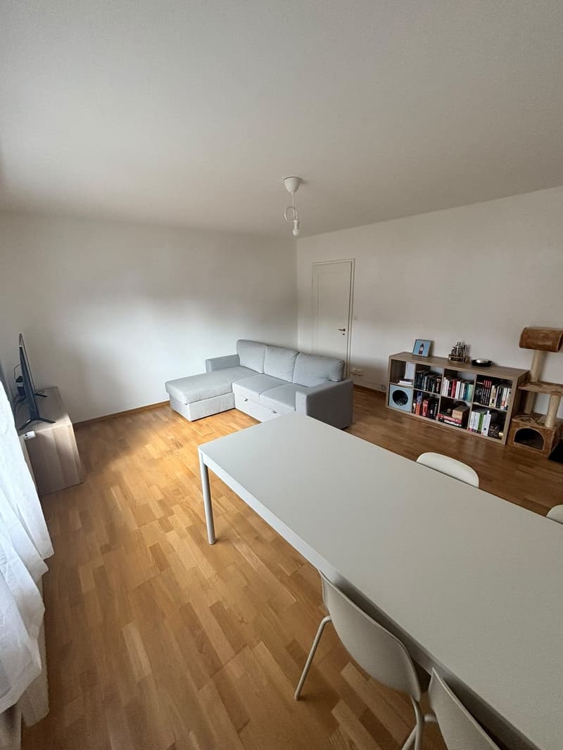 Helle 3.5-Zimmer-Wohnung in Wollishofen (2)