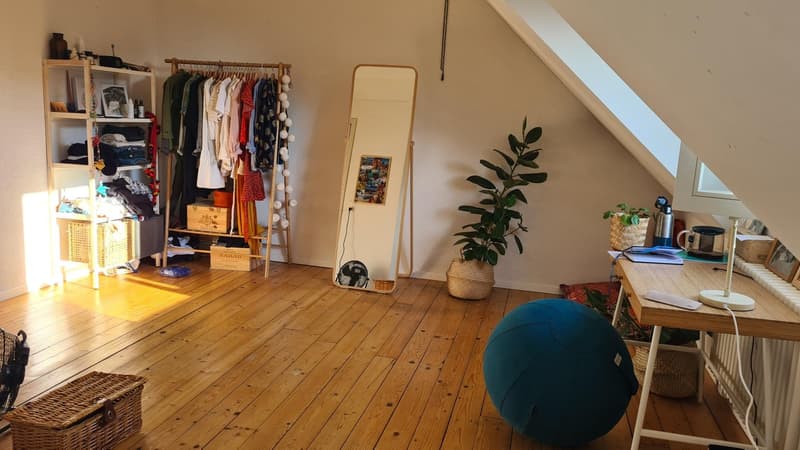 Free room in 6 people WG House (7)