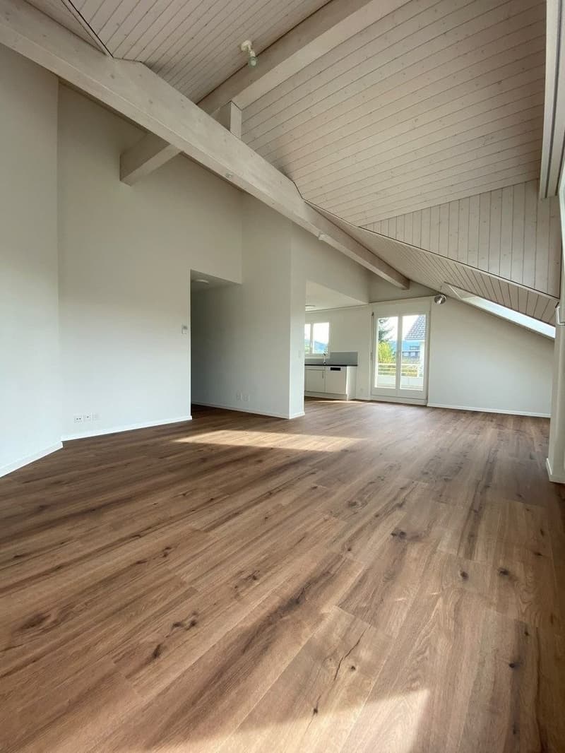 Schöne Dachwohnung zu vermieten (2)