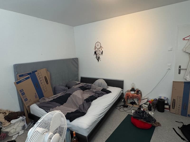 Mitbewohner gesucht für unsere WG in Brüttisellen (3)