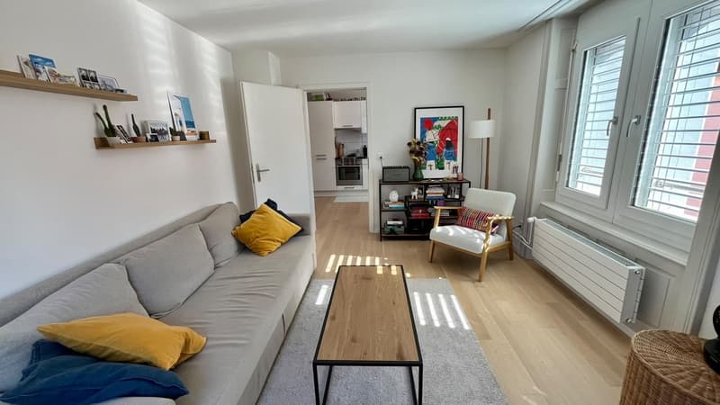 Bright & modern 2.5-room apartment in prime Kreis 4 (8004) (1)
