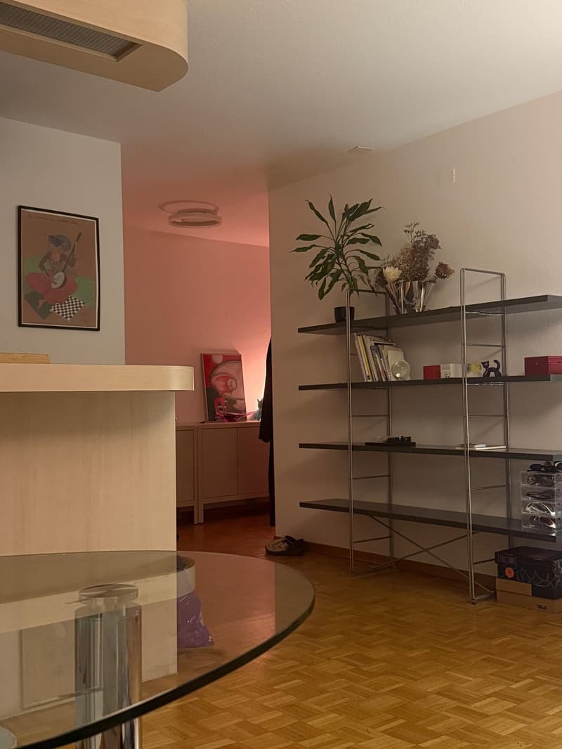 1 ½ Zimmer-Wohnung, 8005 Zurich (4)
