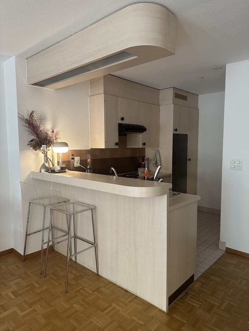 1 ½ Zimmer-Wohnung, 8005 Zurich (3)