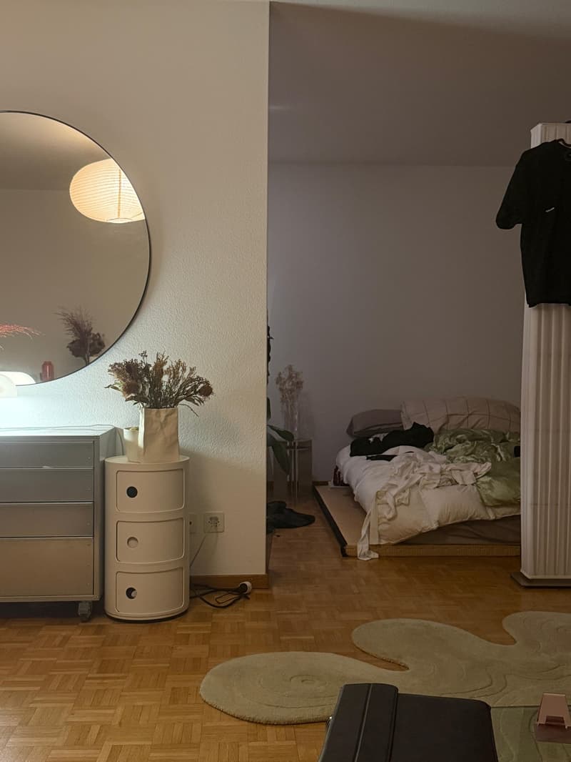 1 ½ Zimmer-Wohnung, 8005 Zurich (1)