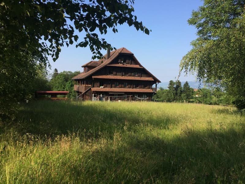 Im Grünen - Naturliebhaber - in 10 min. am Hbf in Luzern (6)