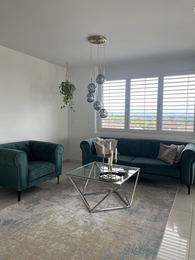 5.5-Zimmer-Wohnung mit grosser Terrasse, Balkon & Jacuzzi (5)