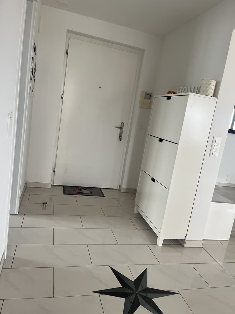 5.5-Zimmer-Wohnung mit grosser Terrasse, Balkon & Jacuzzi (2)