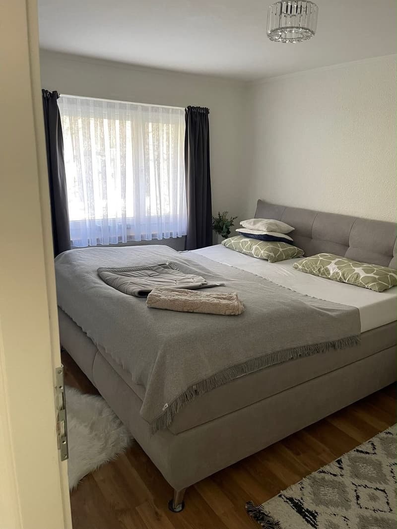 Schöne Wohnung in Sargans mit direktem Blick auf den Gonzen (5)
