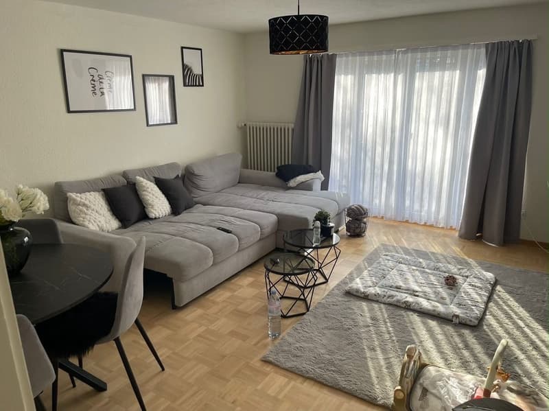 Schöne Wohnung in Sargans mit direktem Blick auf den Gonzen (1)