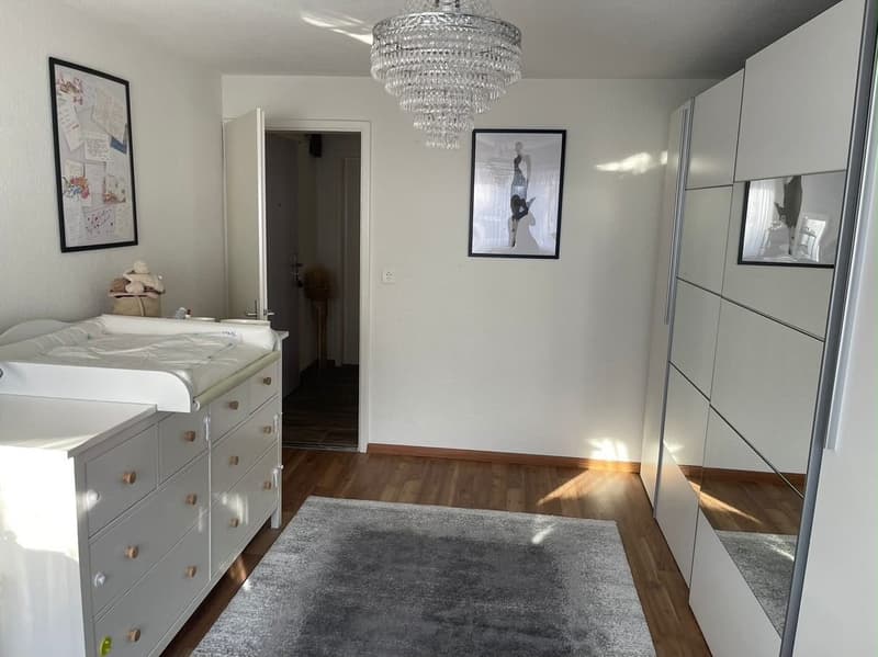 Schöne Wohnung in Sargans mit direktem Blick auf den Gonzen (4)