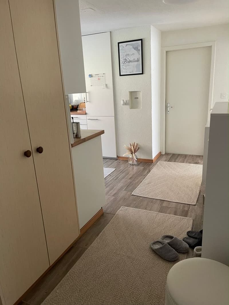 Schöne Wohnung in Sargans mit direktem Blick auf den Gonzen (9)