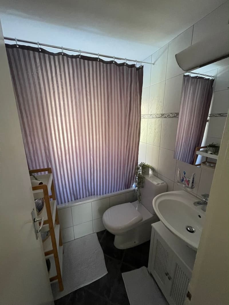 Schöne Wohnung in Sargans mit direktem Blick auf den Gonzen (8)