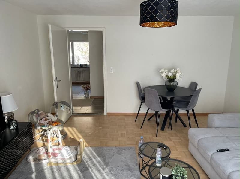 Schöne Wohnung in Sargans mit direktem Blick auf den Gonzen (2)