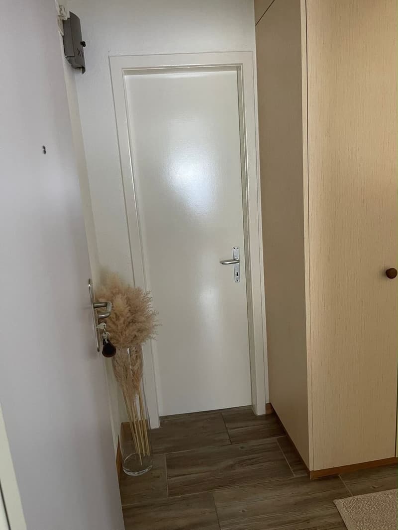 Schöne Wohnung in Sargans mit direktem Blick auf den Gonzen (7)