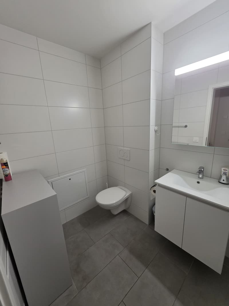 Nachmieter gesucht für Neubau 2.5-Zimmerwohnung in Dottikon (6)