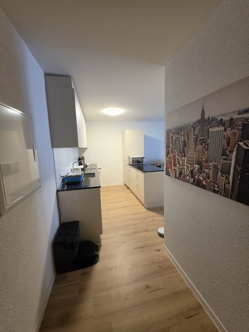 Nachmieter gesucht für Neubau 2.5-Zimmerwohnung in Dottikon (2)
